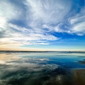 Meet your Posher, Carlyn